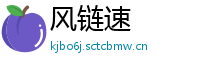 风链速